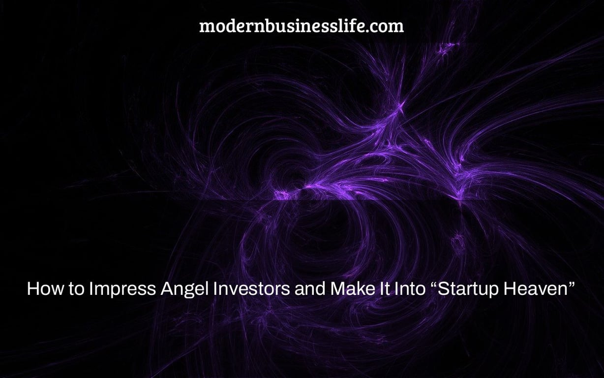 How to Impress Angel Investors and Make It Into “Startup Heaven”