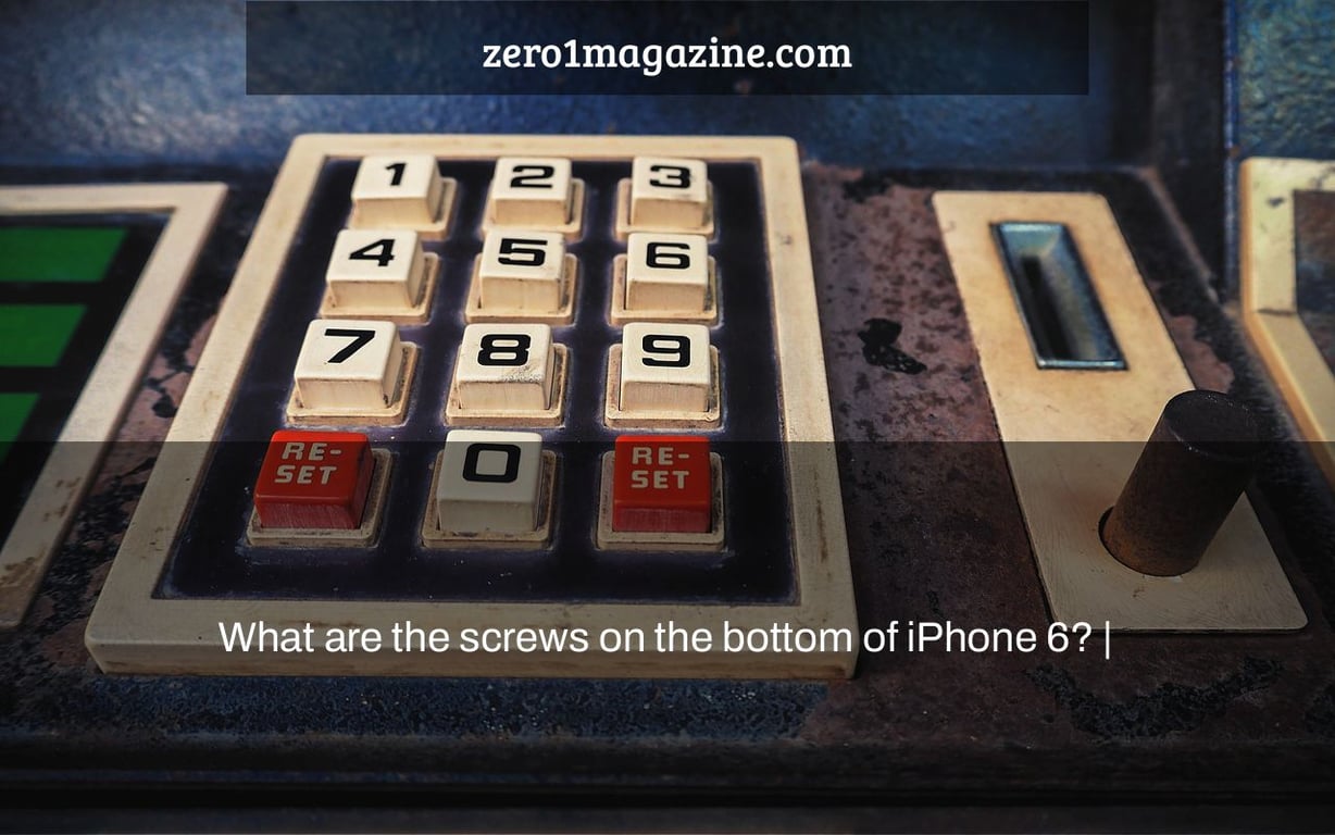 What are the screws on the bottom of iPhone 6? |
