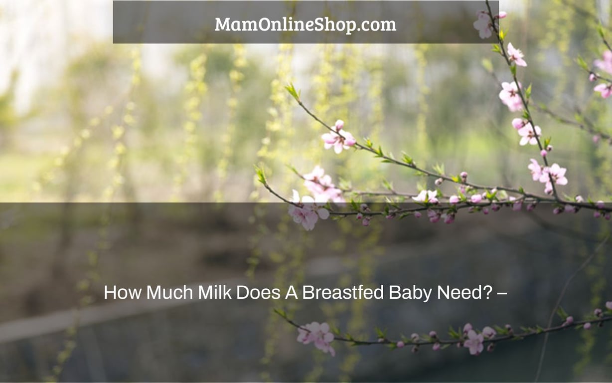 How Much Milk Does A Breastfed Baby Need? –