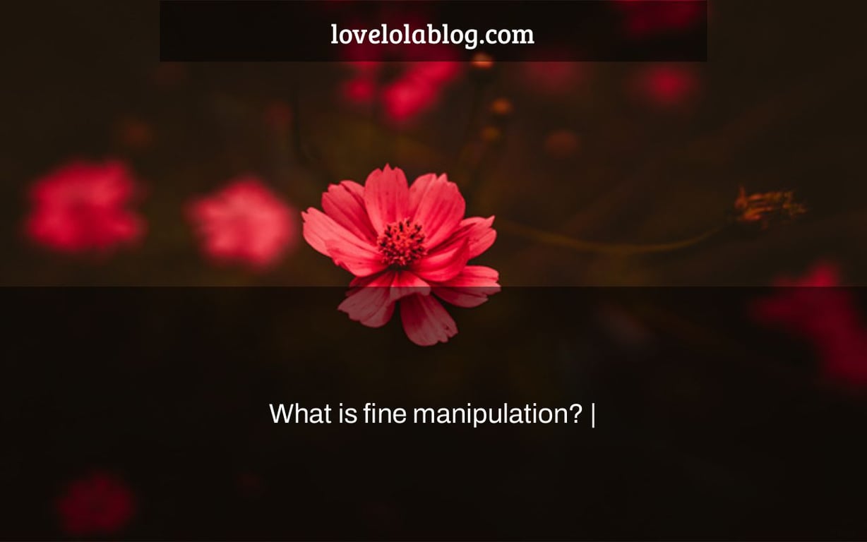 What is fine manipulation? |