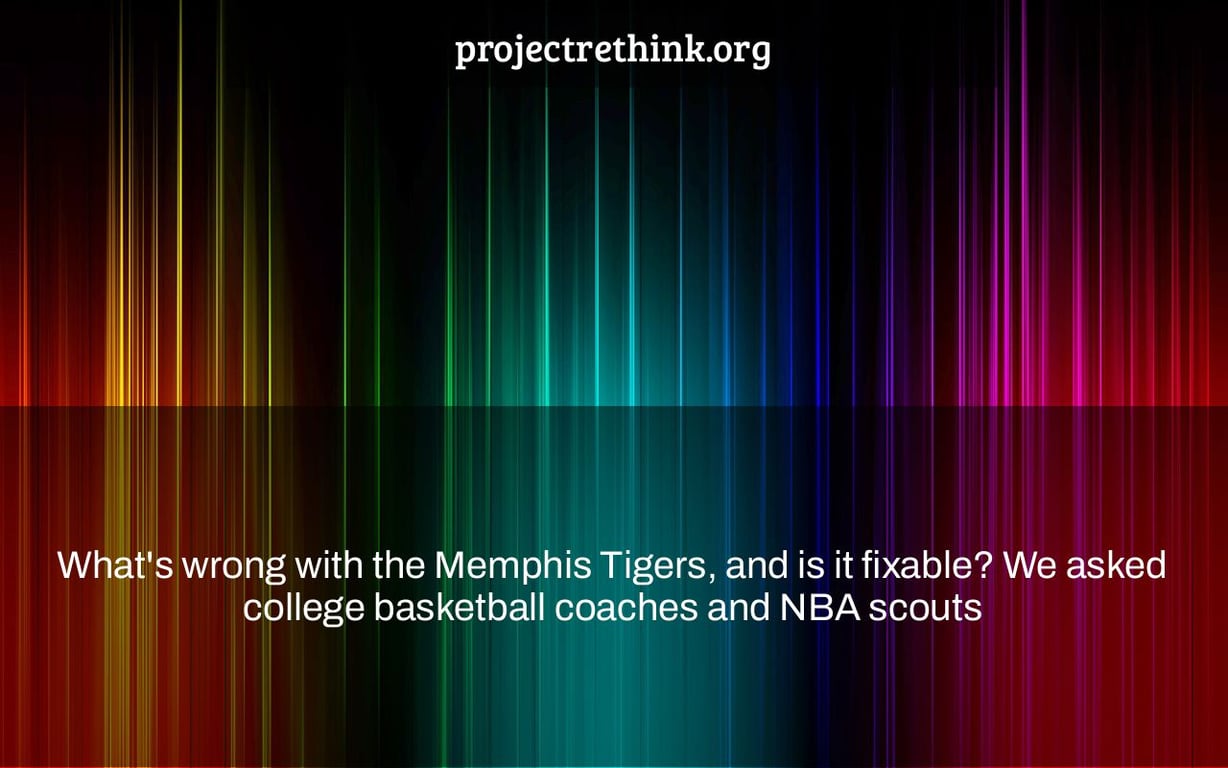 What's wrong with the Memphis Tigers, and is it fixable? We asked college basketball coaches and NBA scouts
