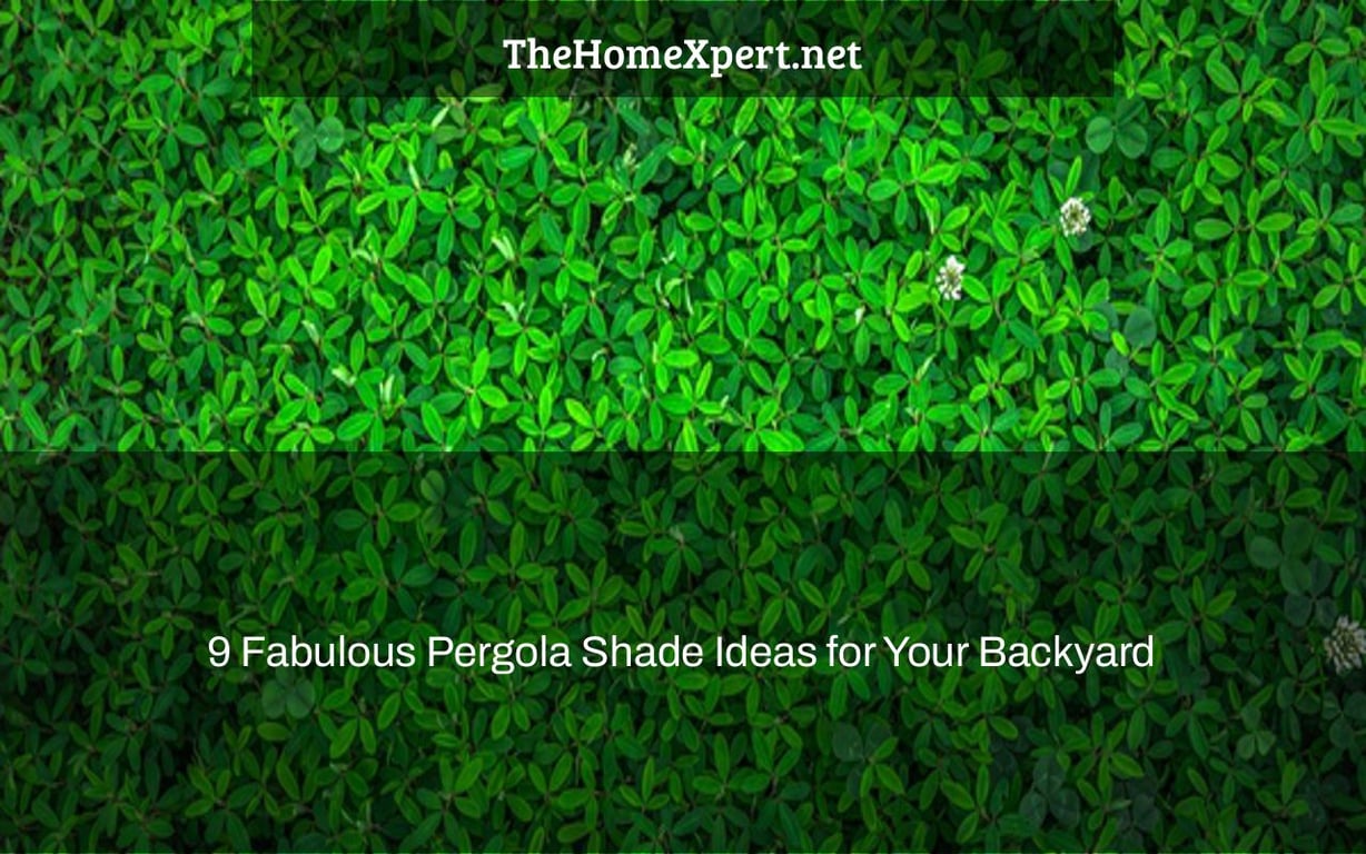 9 Fabulous Pergola Shade Ideas for Your Backyard