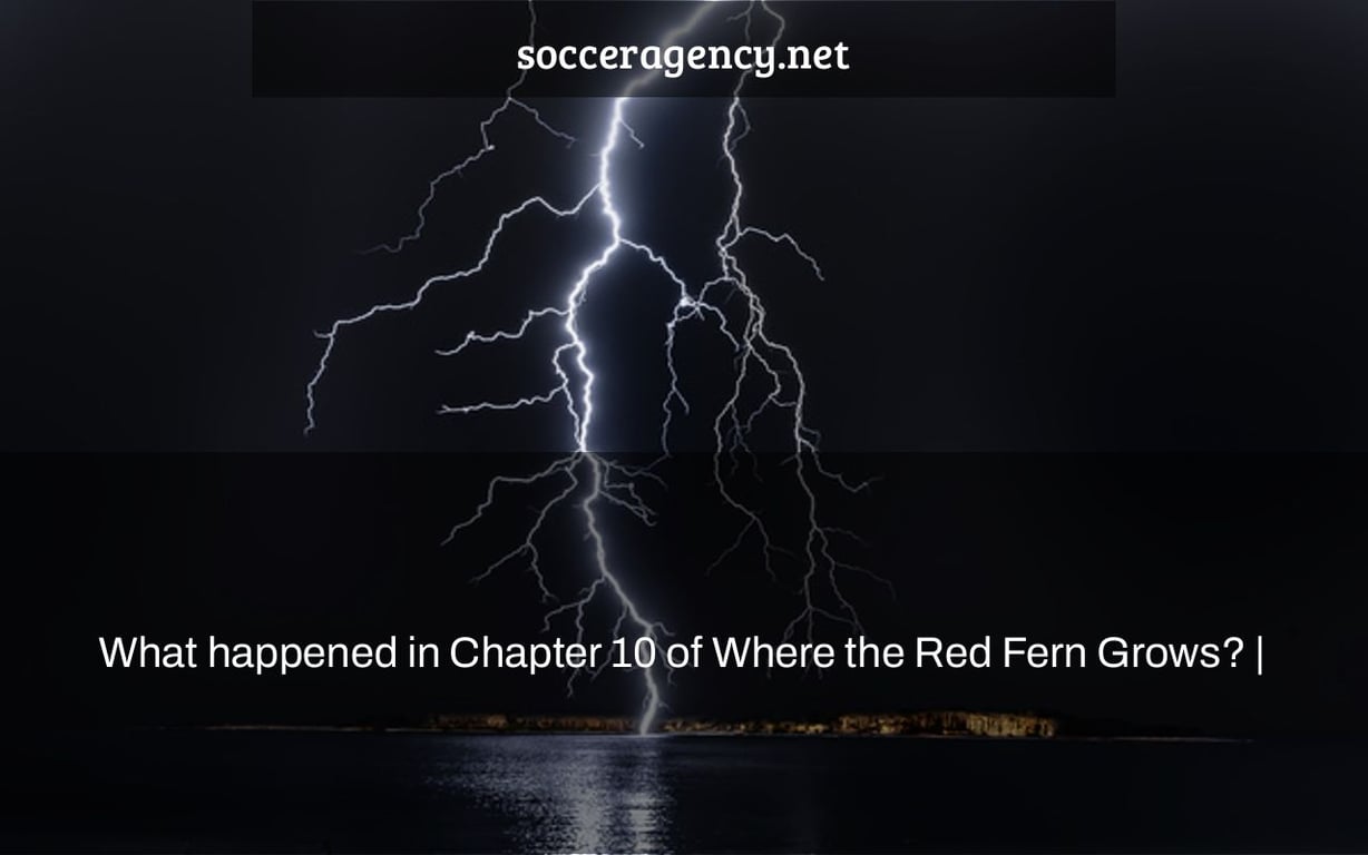What happened in Chapter 10 of Where the Red Fern Grows? |