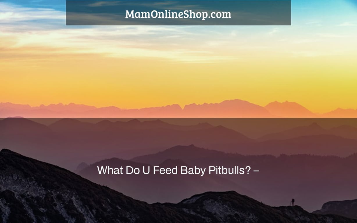 What Do U Feed Baby Pitbulls? –