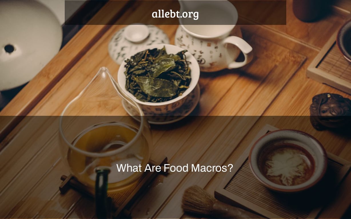 What Are Food Macros?