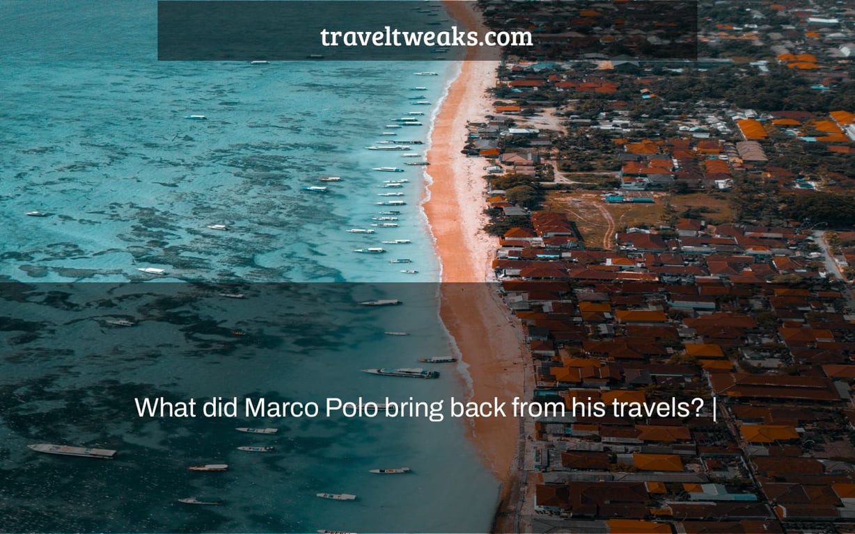 What did Marco Polo bring back from his travels? |