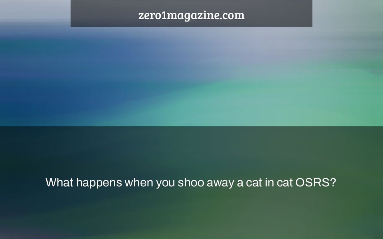 What happens when you shoo away a cat in cat OSRS?