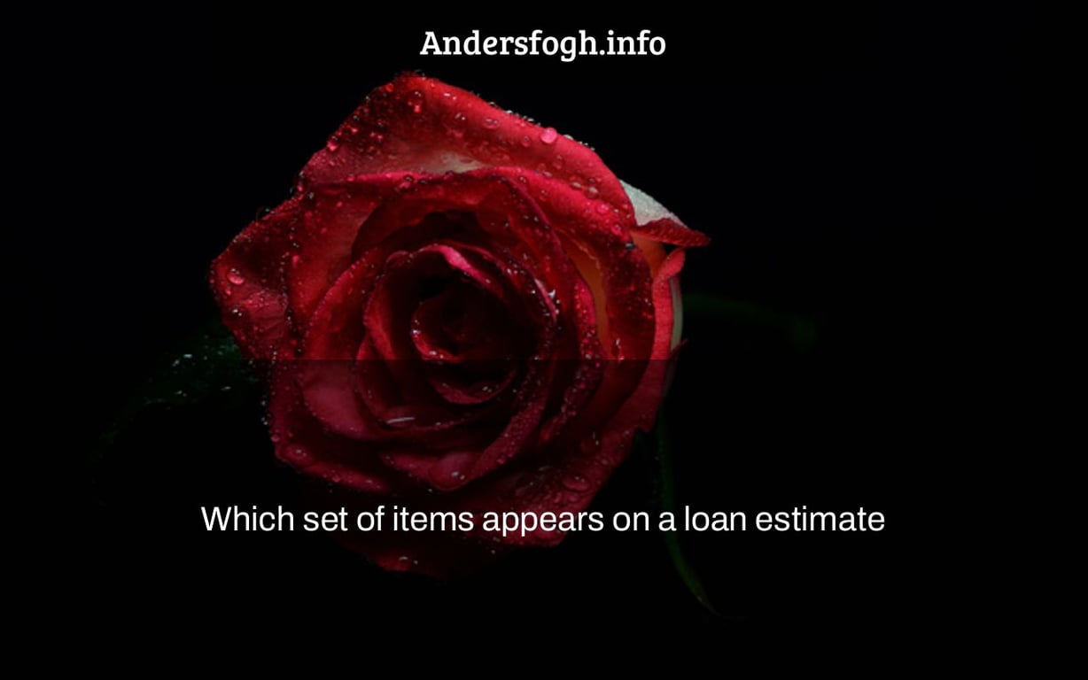 Which set of items appears on a loan estimate