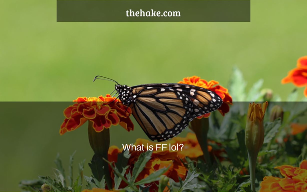 What is FF lol?