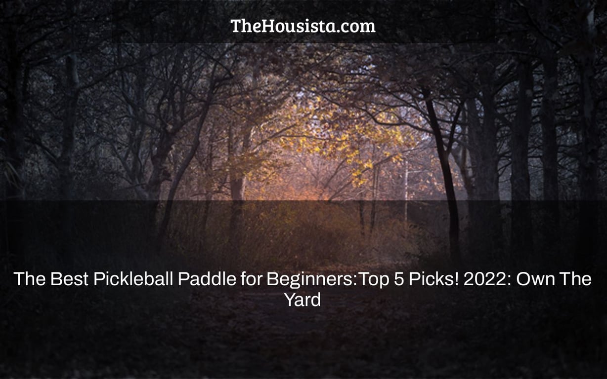 The Best Pickleball Paddle for Beginners:Top 5 Picks! 2022: Own The Yard