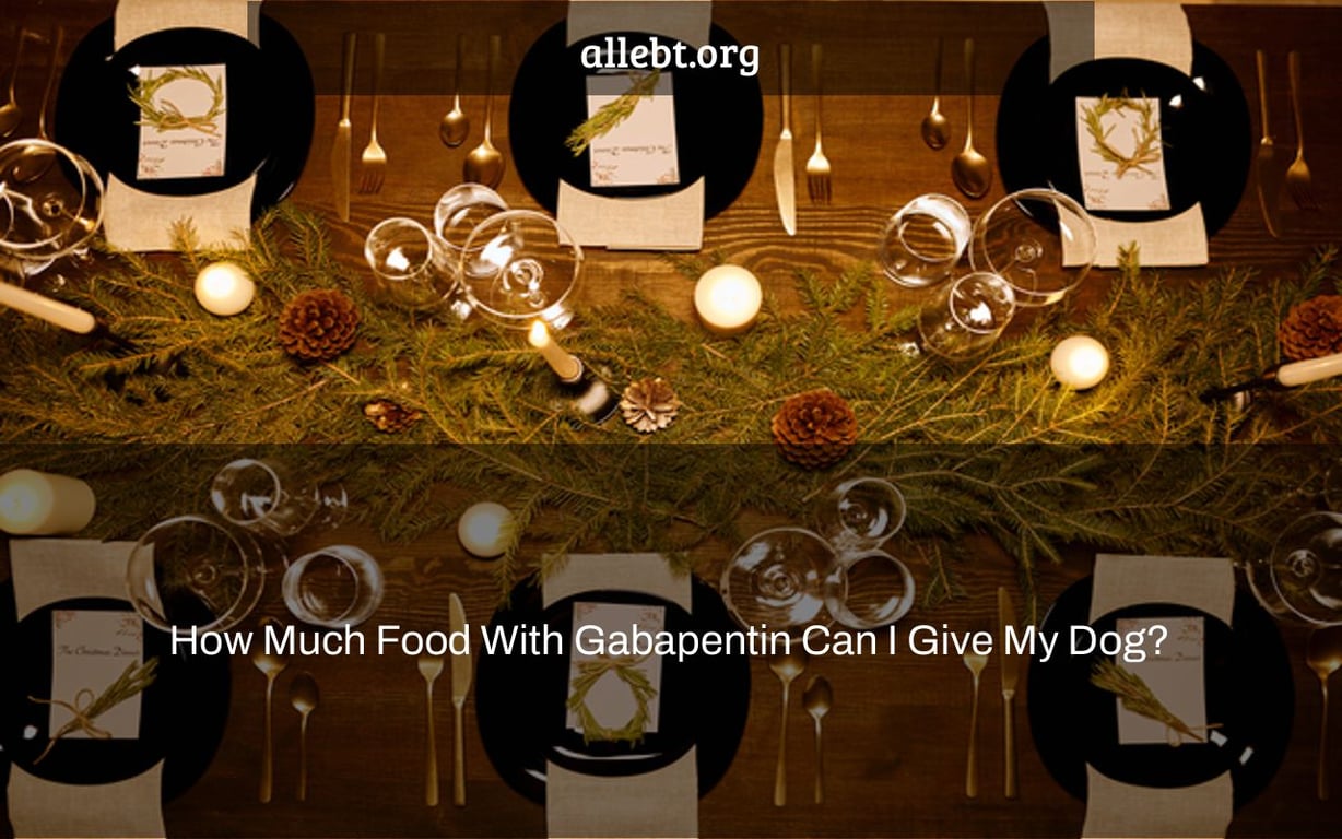 How Much Food With Gabapentin Can I Give My Dog?