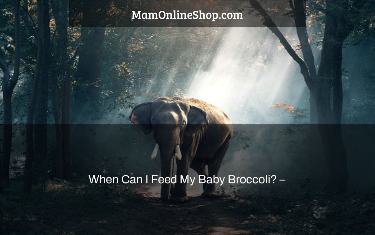 When Can I Feed My Baby Broccoli? –