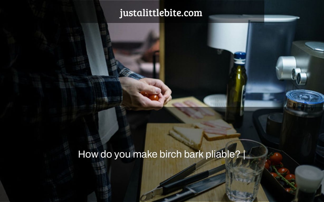 How do you make birch bark pliable? |
