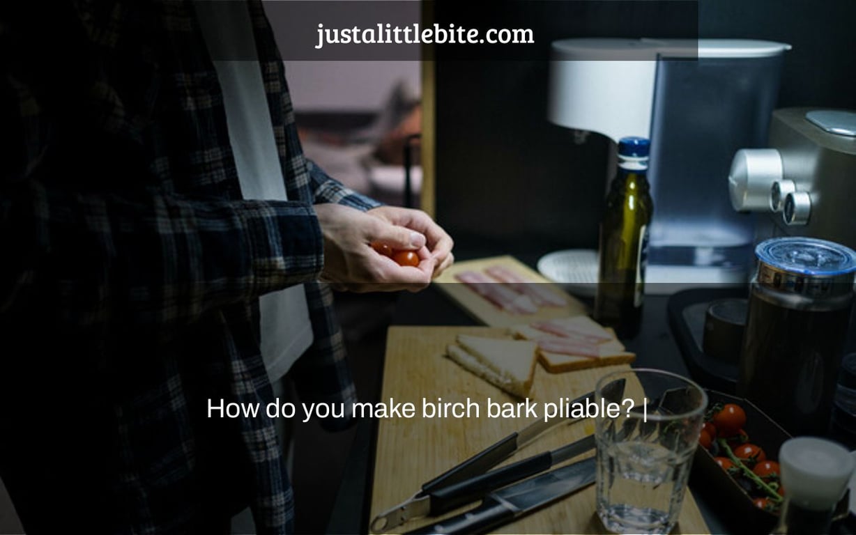 How do you make birch bark pliable? JustALittleBite