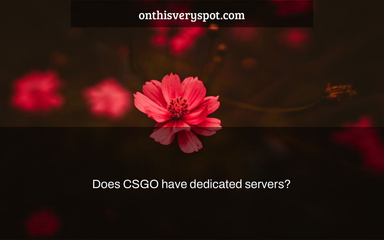 Does CSGO have dedicated servers?