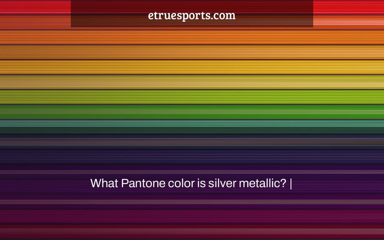 What Pantone color is silver metallic? |