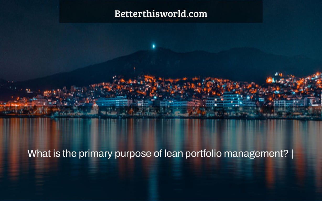 What is the primary purpose of lean portfolio management? |