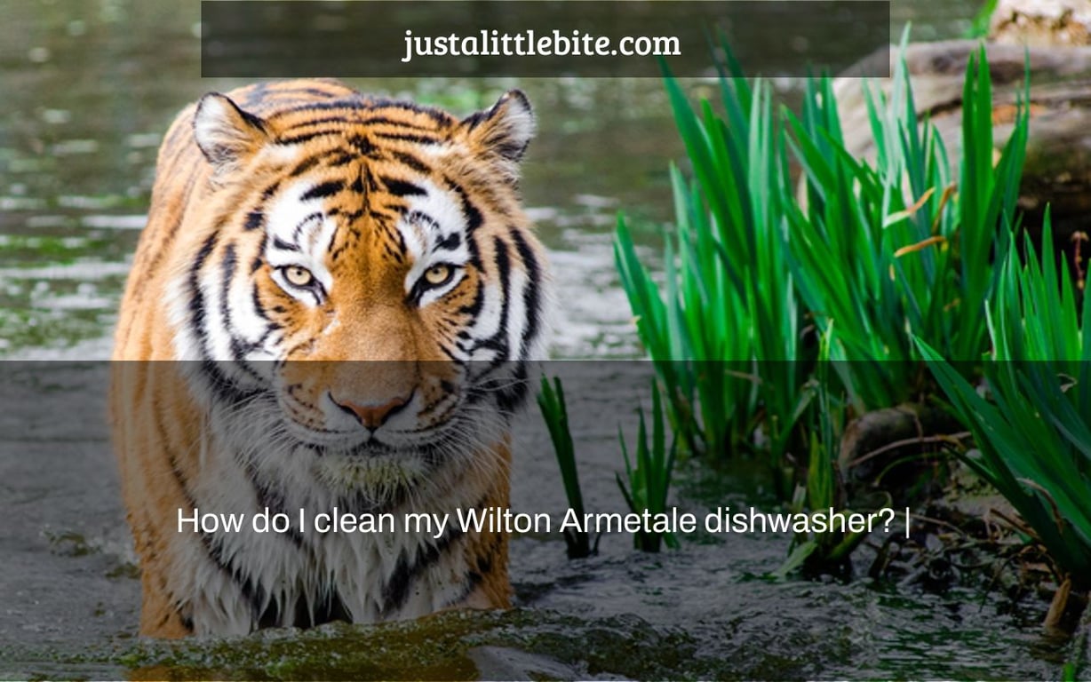How do I clean my Wilton Armetale dishwasher? |