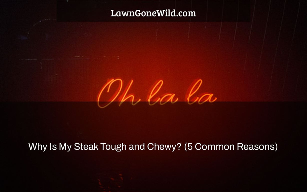 Why Is My Steak Tough and Chewy? (5 Common Reasons) Lawn Gone Wild