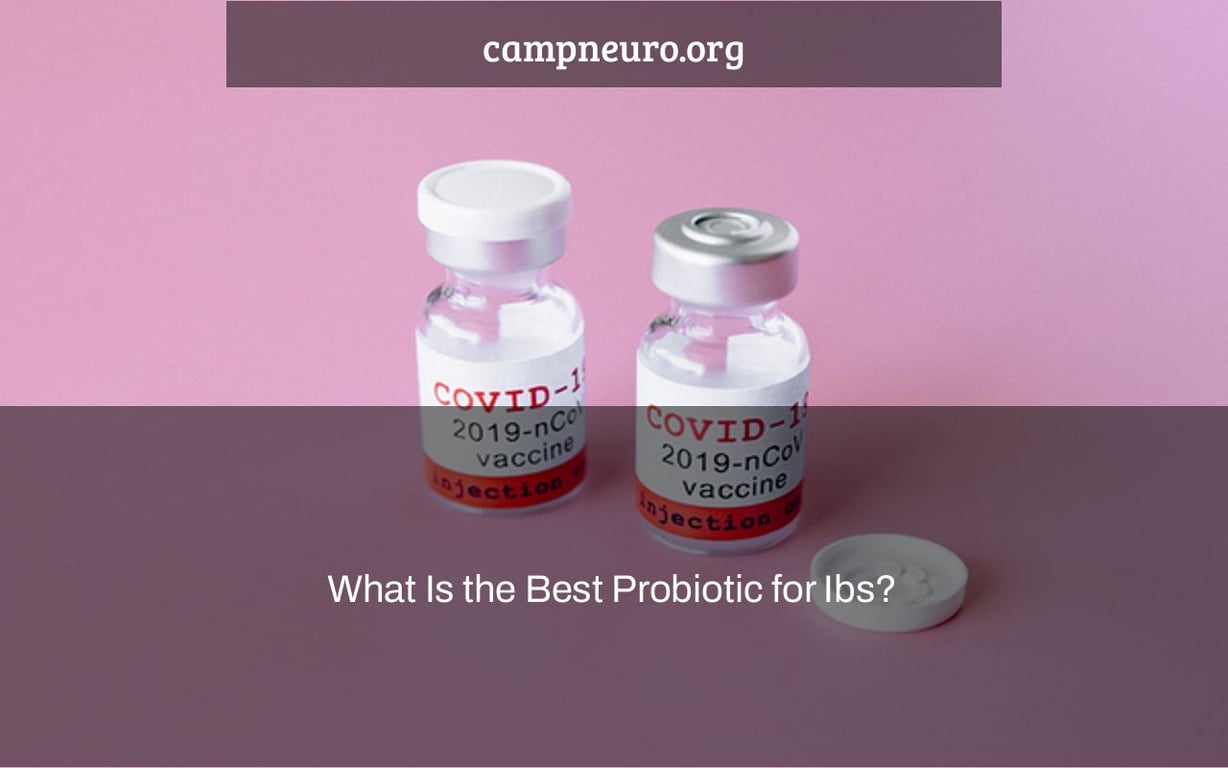 What Is the Best Probiotic for Ibs? Camp Neuro
