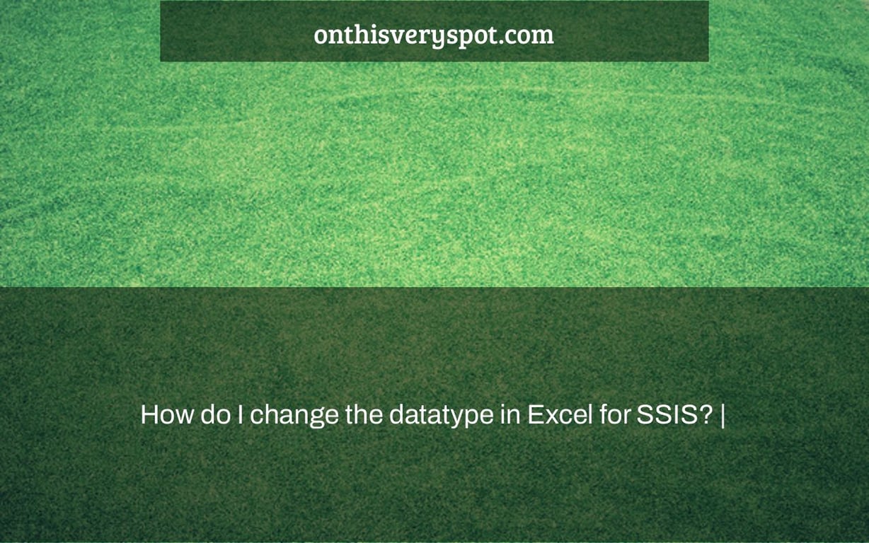How do I change the datatype in Excel for SSIS? |