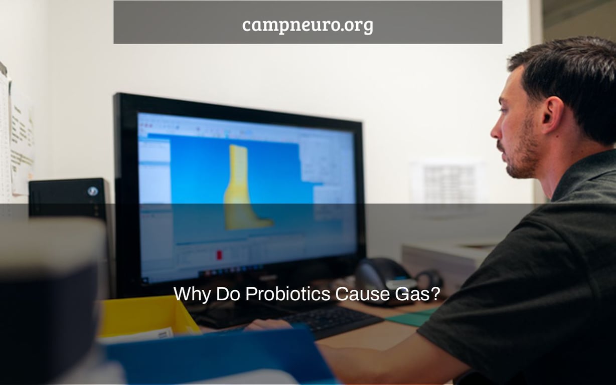 Why Do Probiotics Cause Gas? Camp Neuro