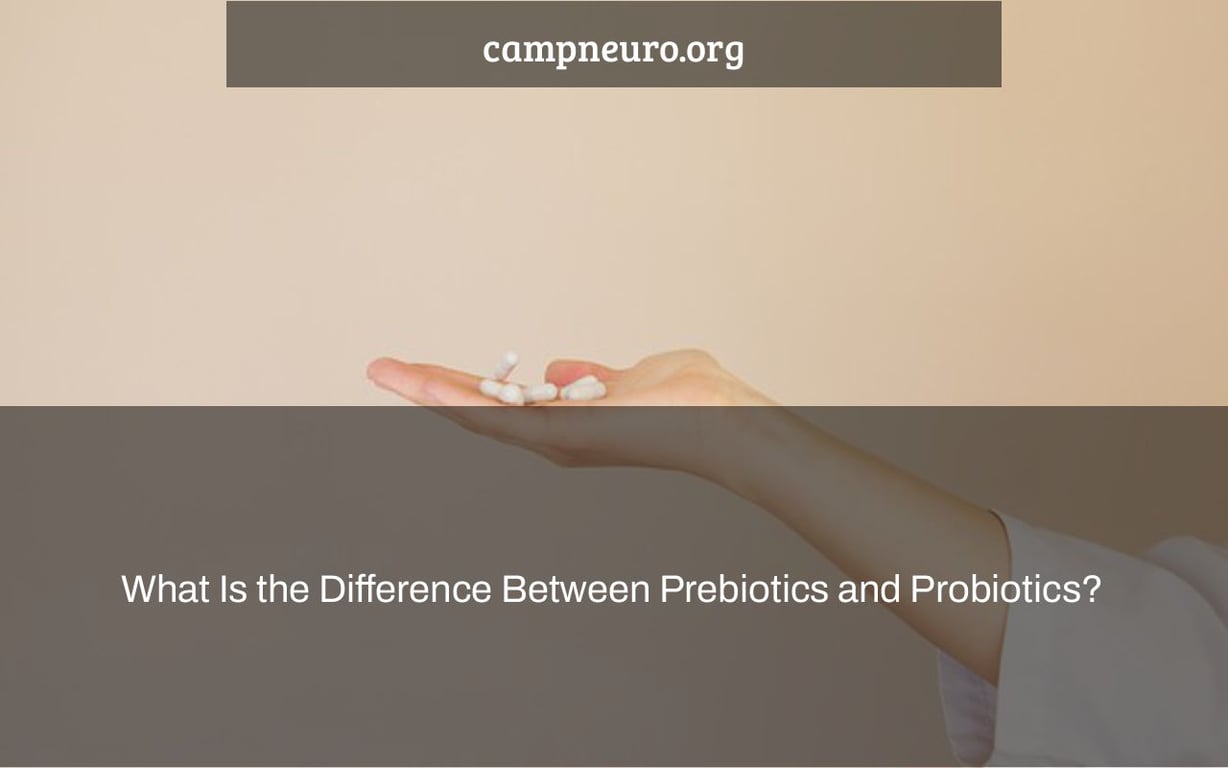 What Is the Difference Between Prebiotics and Probiotics?