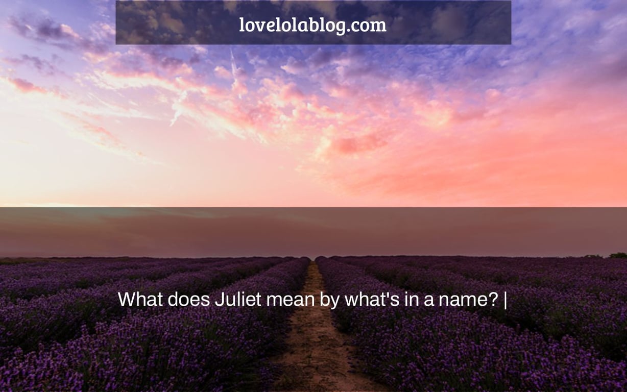 What does Juliet mean by what's in a name? |