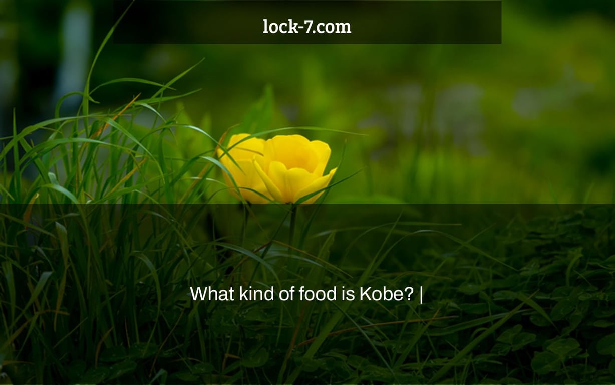 What kind of food is Kobe? |