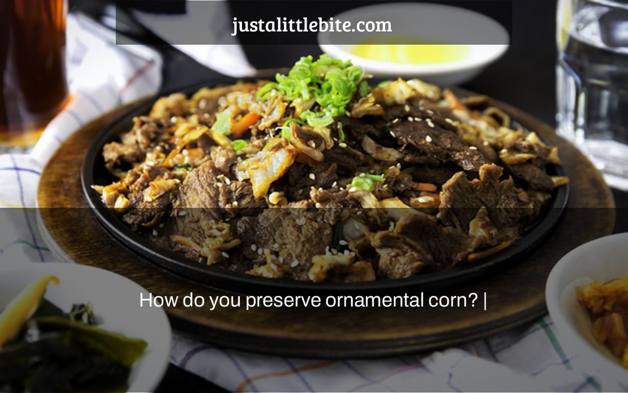 How do you preserve ornamental corn? |