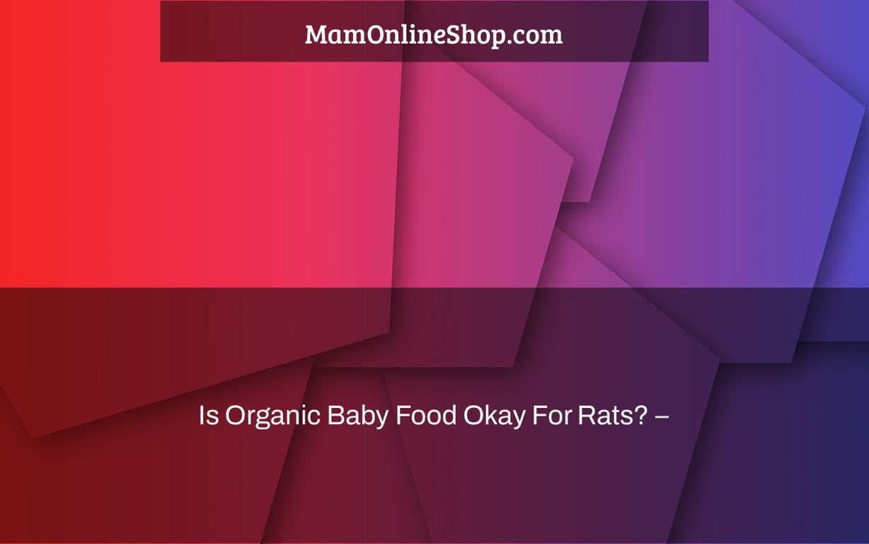 Is Organic Baby Food Okay For Rats? –
