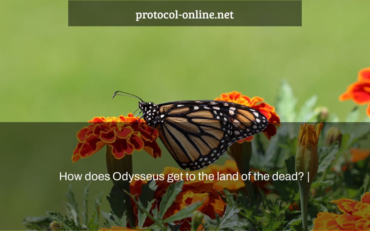 How does Odysseus get to the land of the dead? |