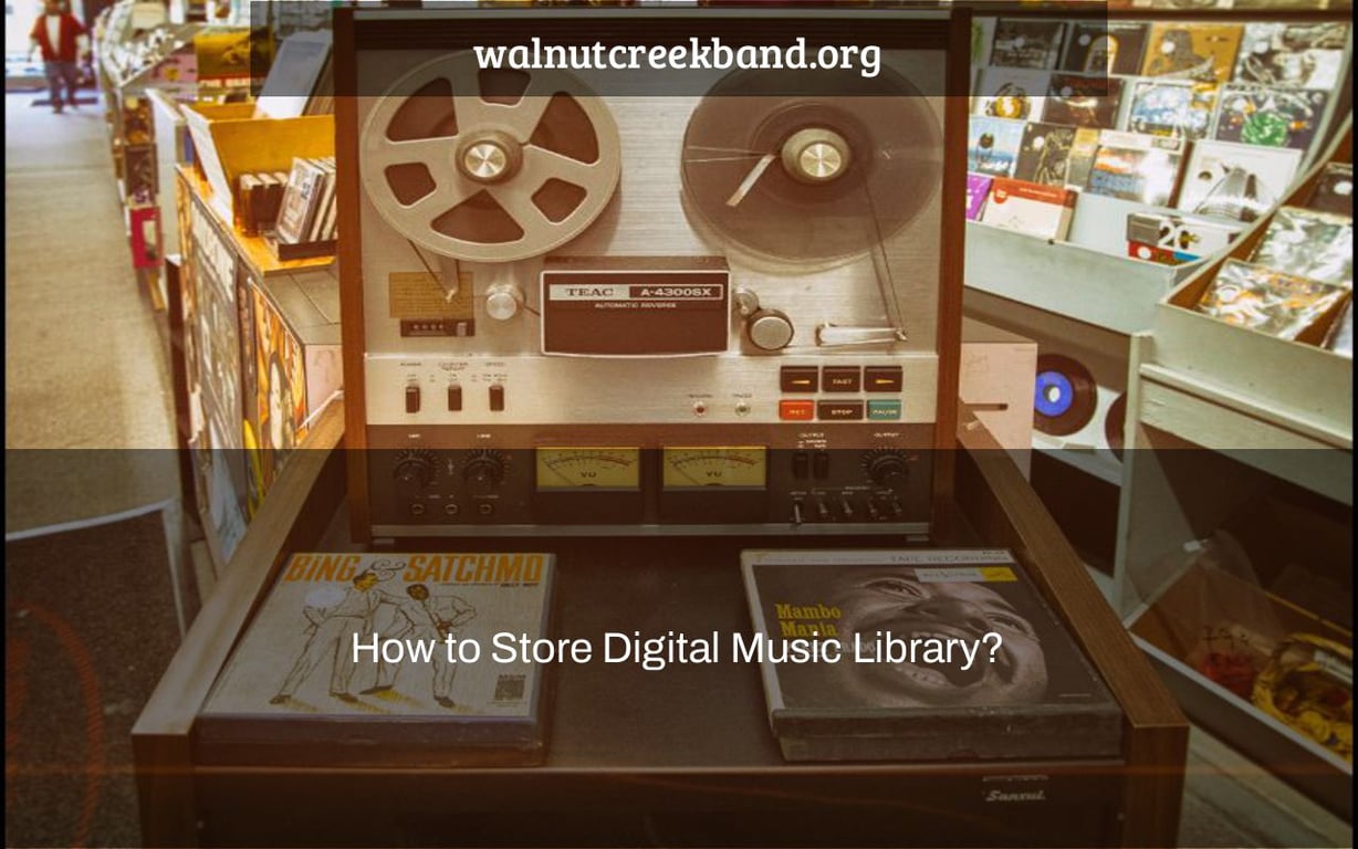 How to Store Digital Music Library?
