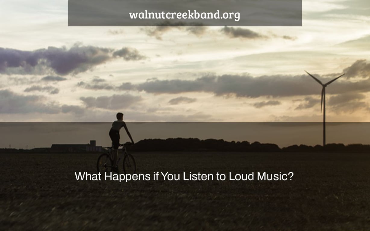 What Happens if You Listen to Loud Music?