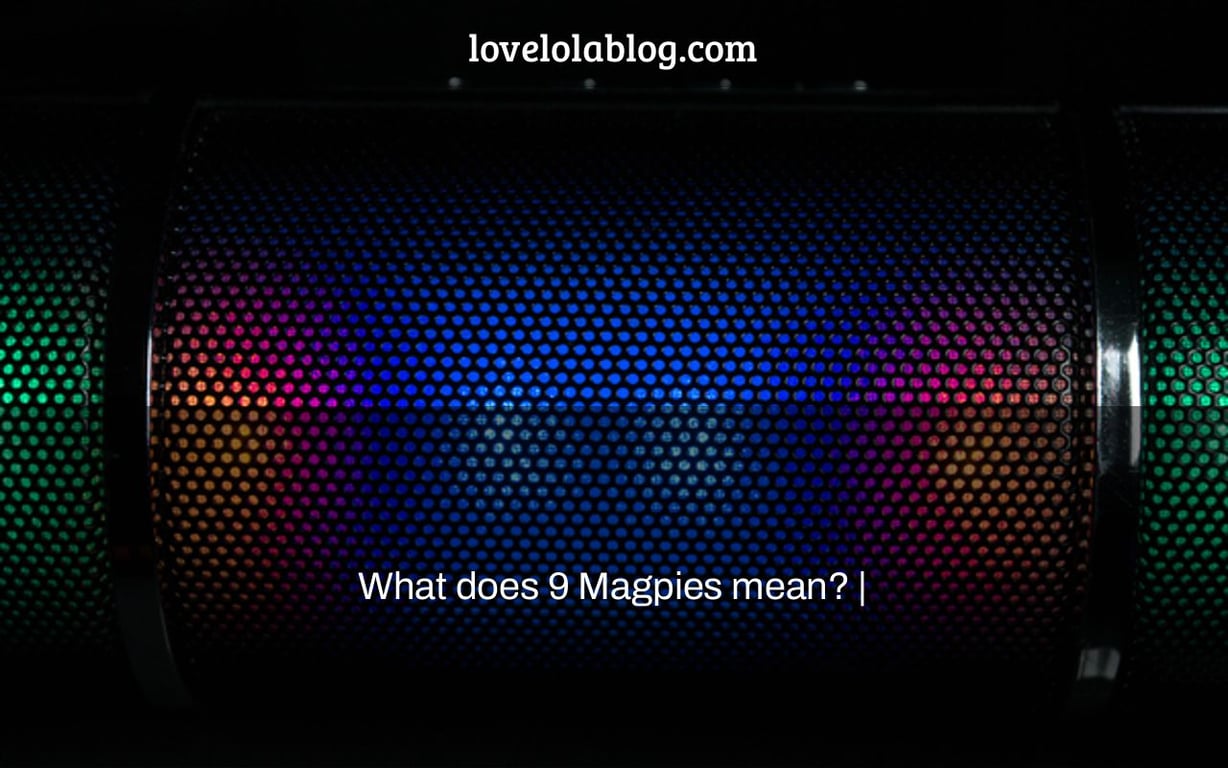 What does 9 Magpies mean? |