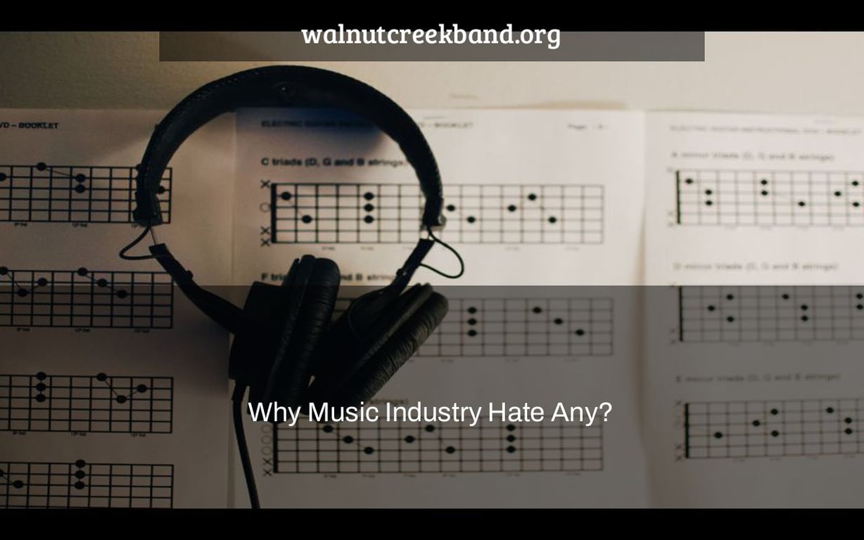 Why Music Industry Hate Any?