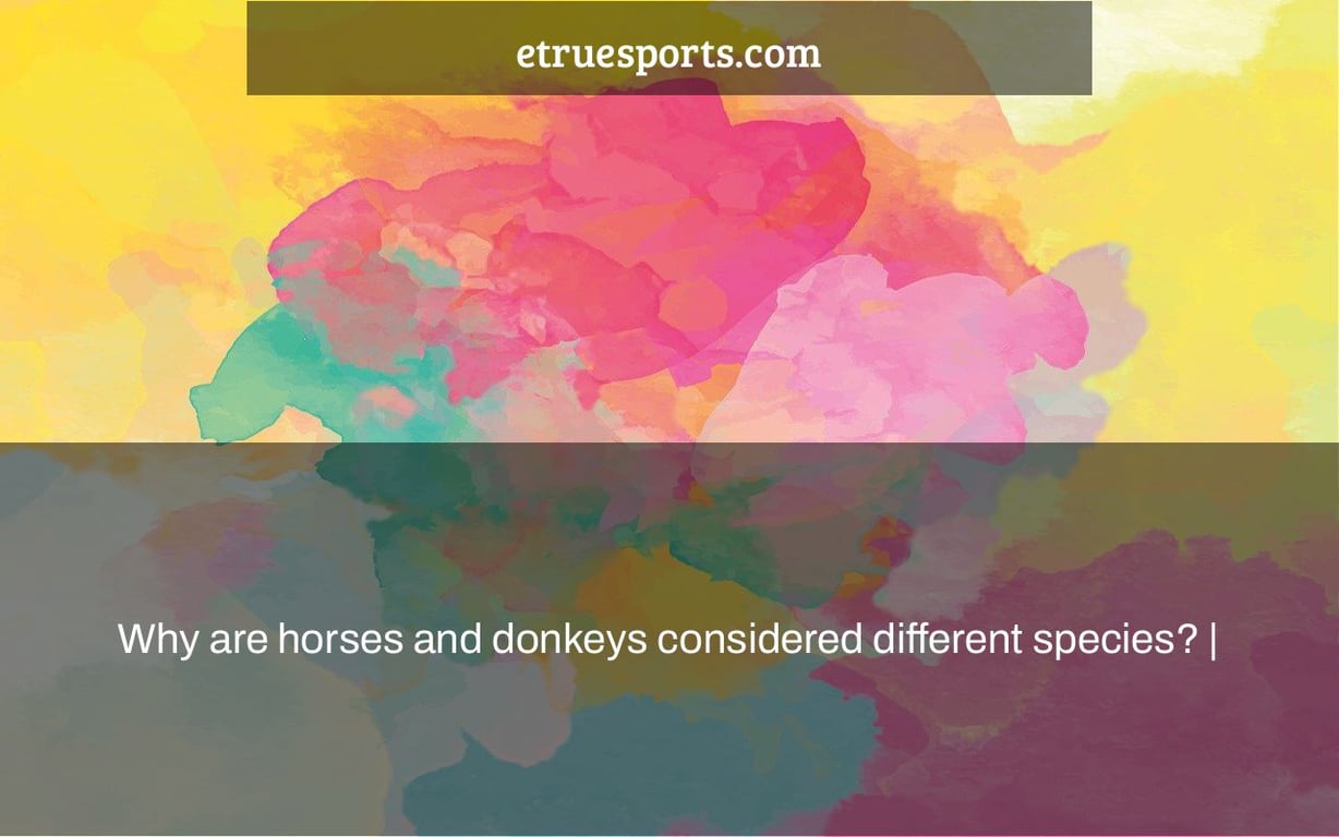 Why are horses and donkeys considered different species? |