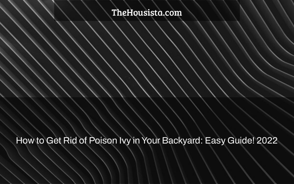 How to Get Rid of Poison Ivy in Your Backyard: Easy Guide! 2022