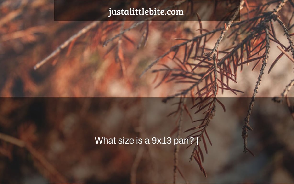 What size is a 9x13 pan? |