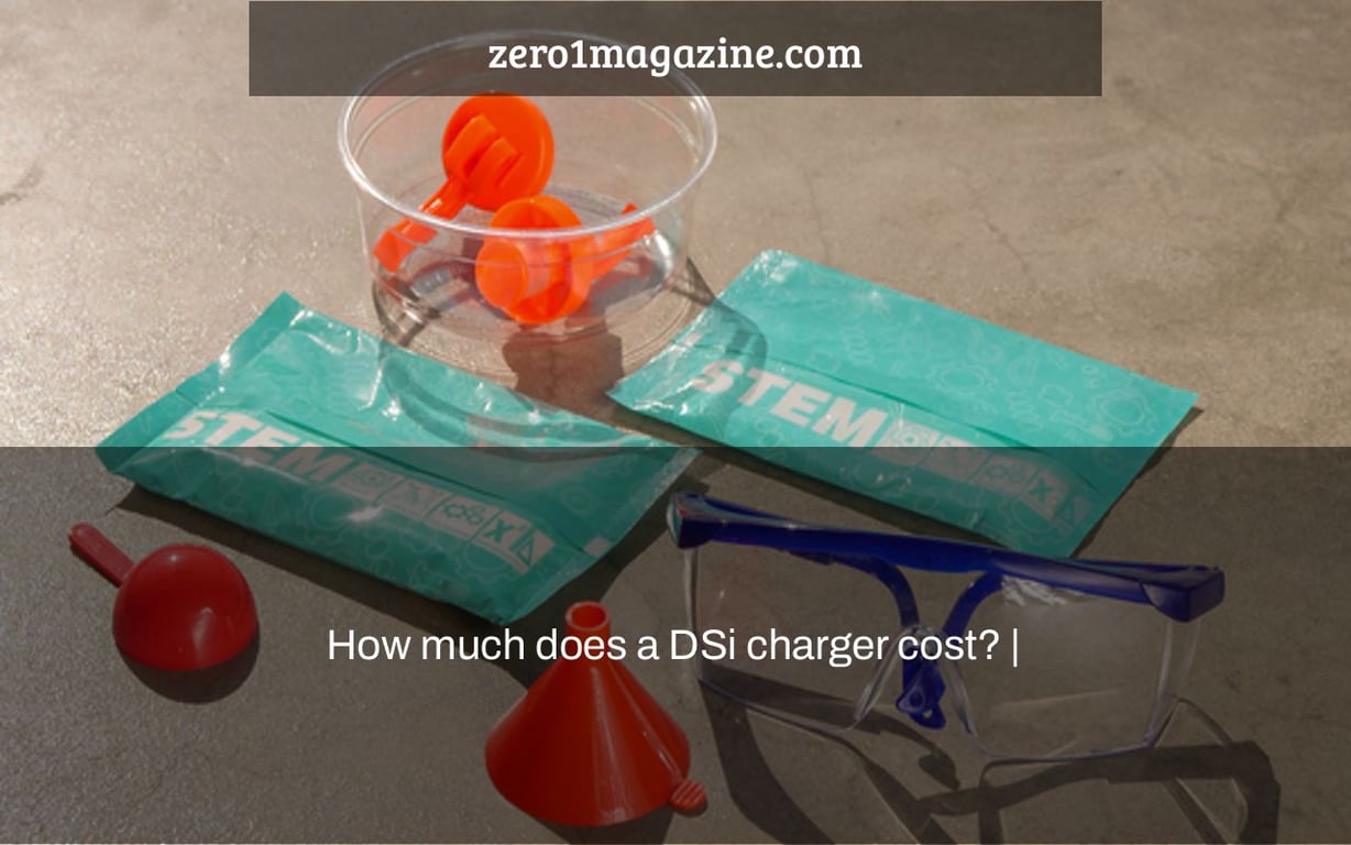 How much does a DSi charger cost? |