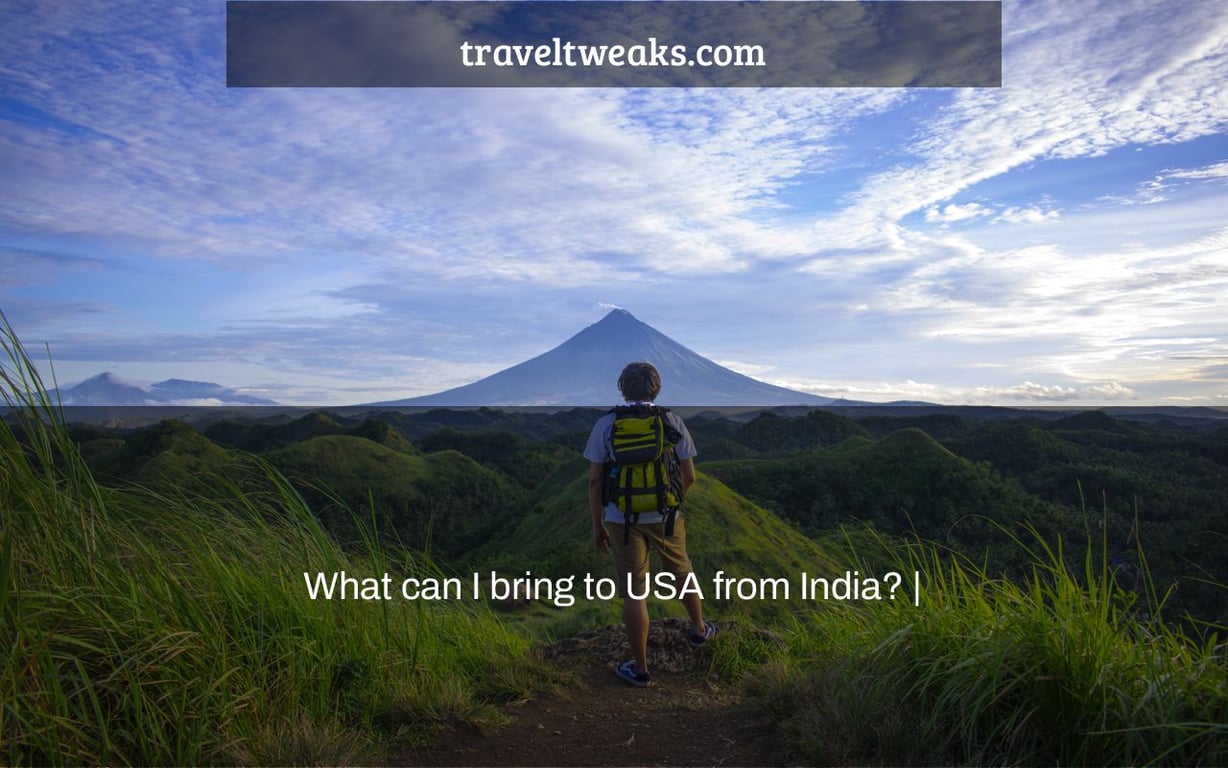 What can I bring to USA from India? |