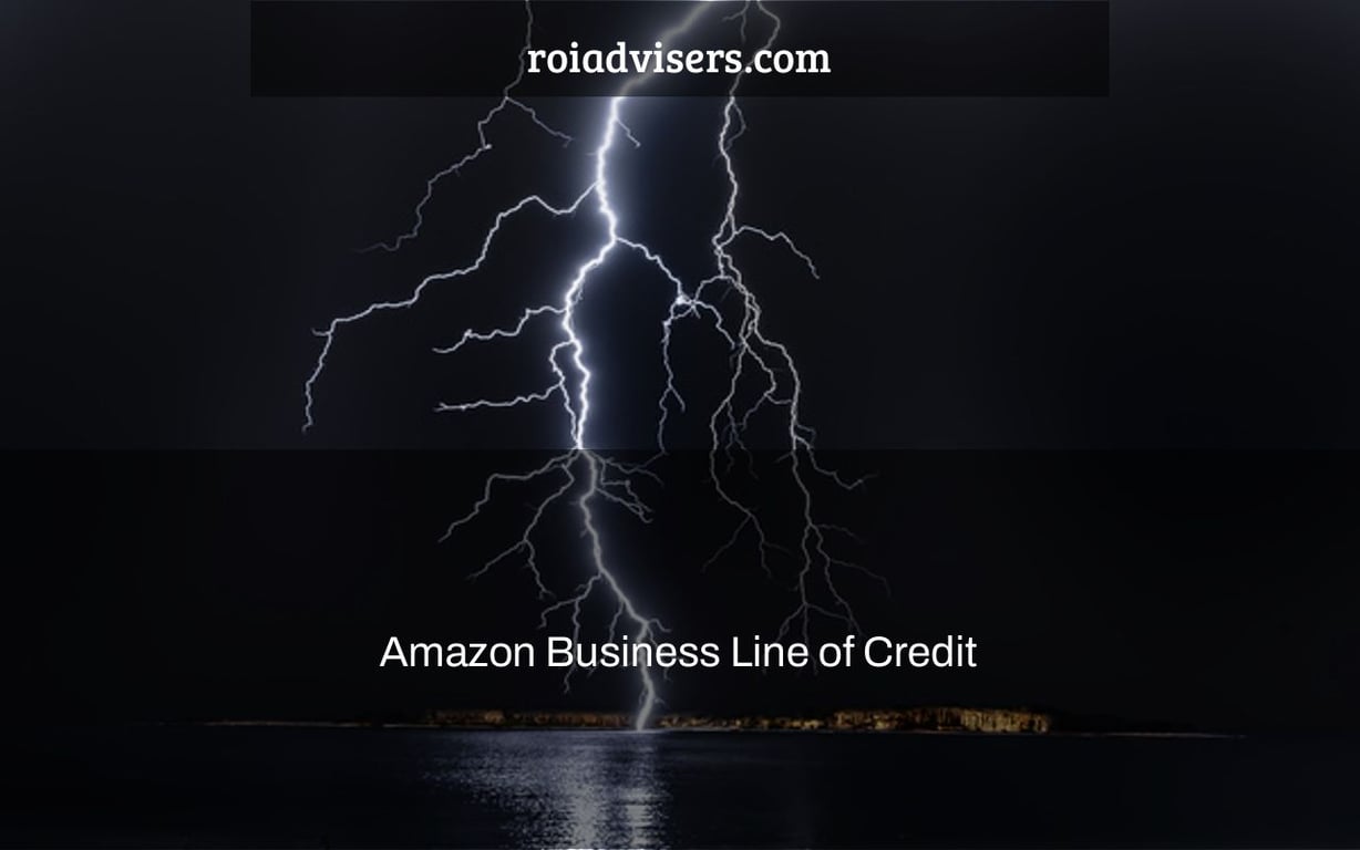 Amazon Business Line of Credit & 4 Alternatives for 2022
