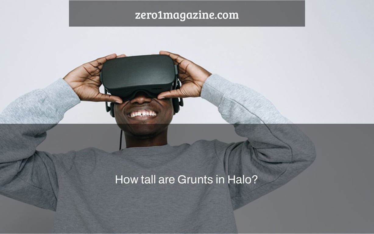 How tall are Grunts in Halo?