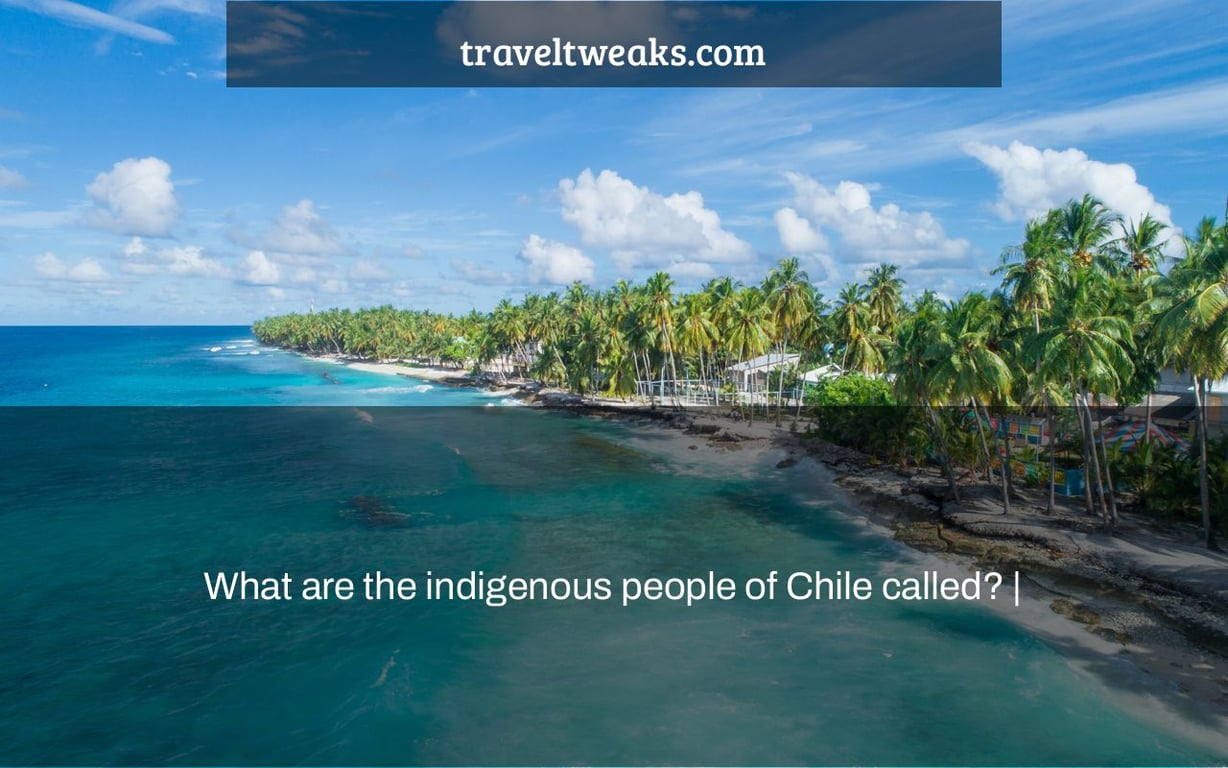 What are the indigenous people of Chile called? |