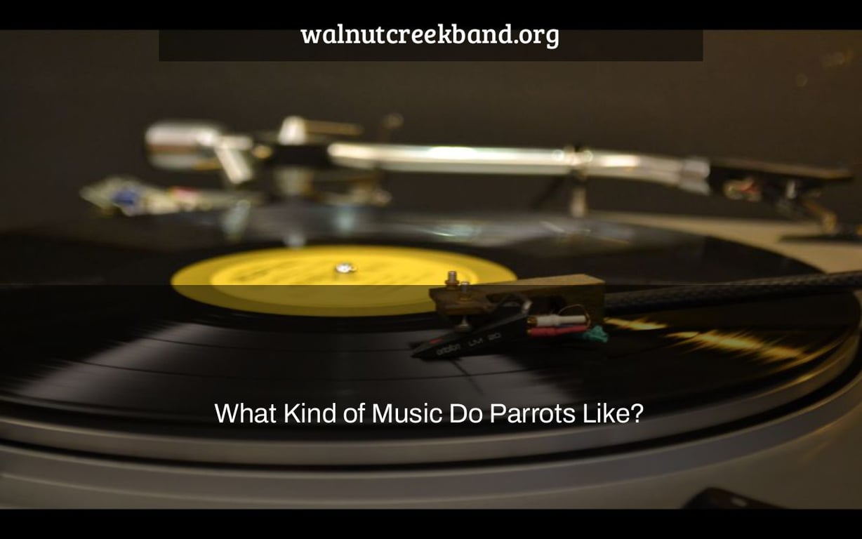 What Kind of Music Do Parrots Like?