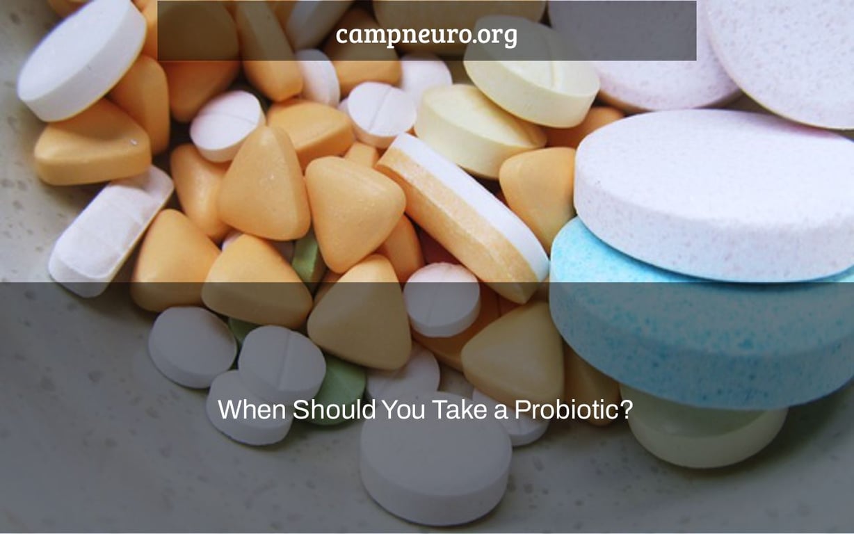 When Should You Take a Probiotic? Camp Neuro