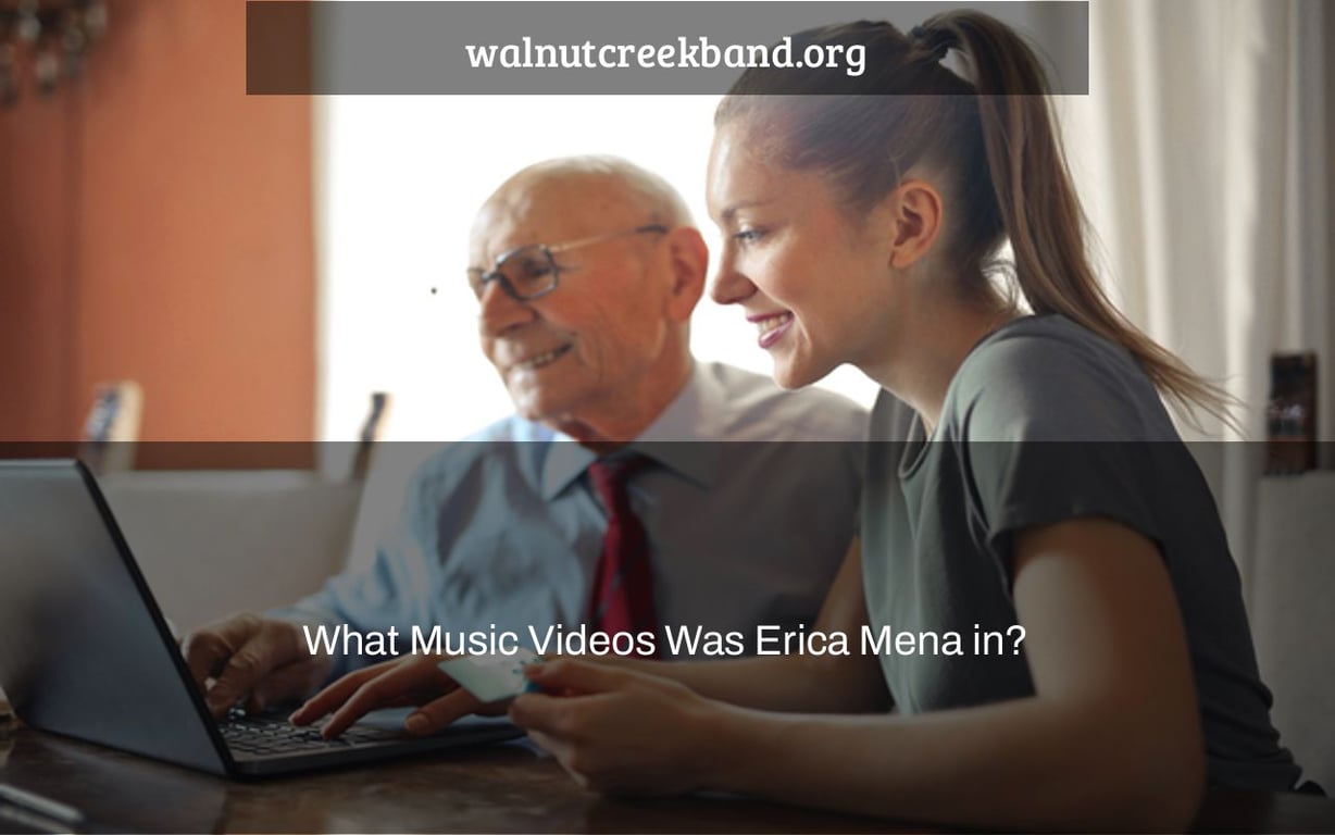 What Music Videos Was Erica Mena in?