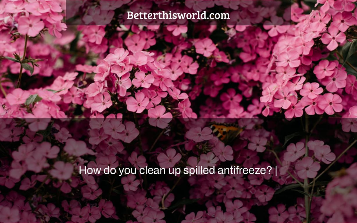 How do you clean up spilled antifreeze? |