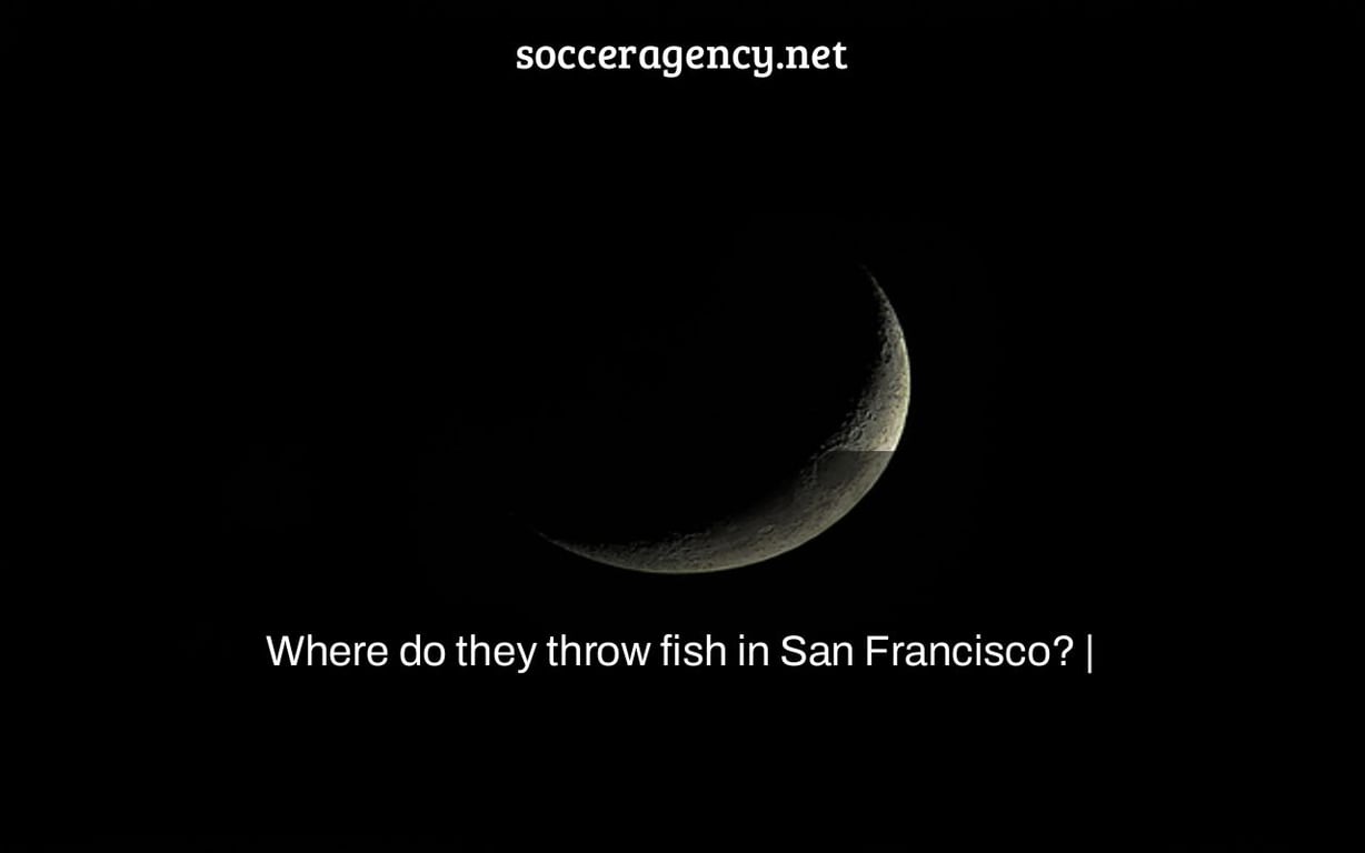 Where do they throw fish in San Francisco? |