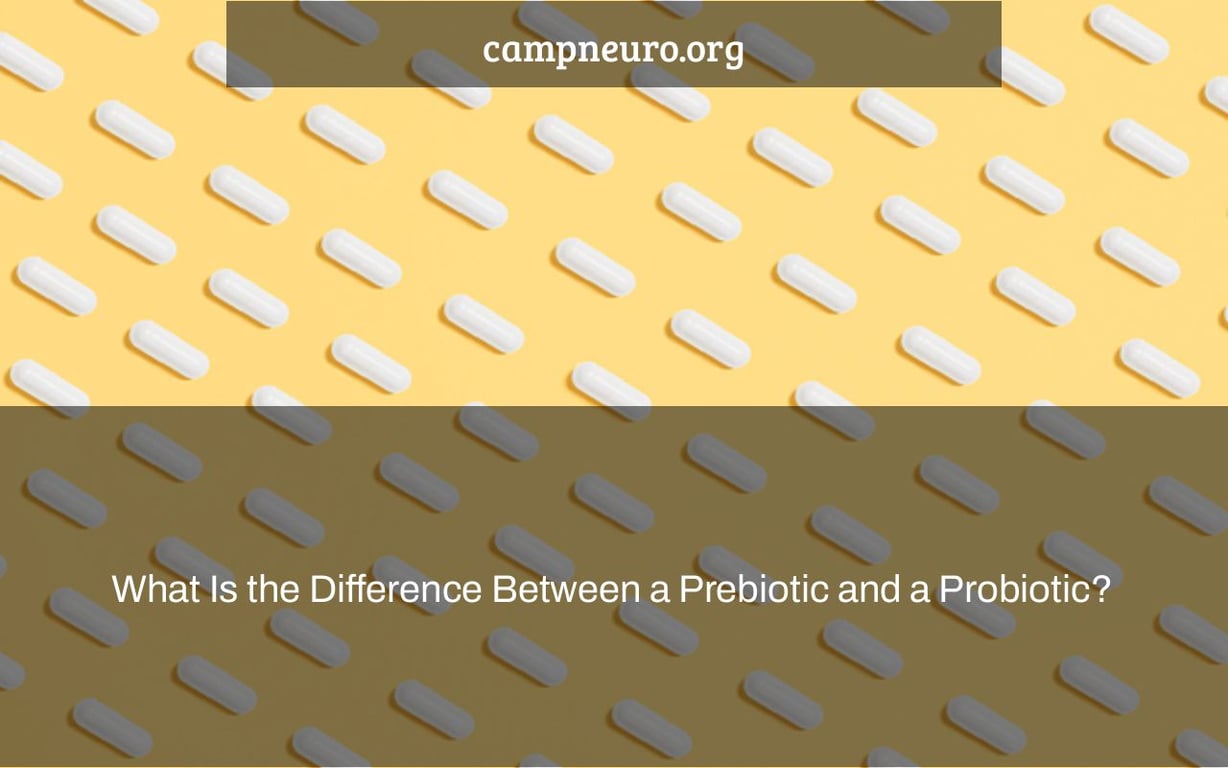 What Is the Difference Between a Prebiotic and a Probiotic?